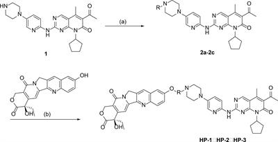 Design, synthesis, and anticancer activity of three novel palbociclib derivatives